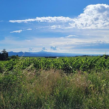 Le Willow Châteauneuf-du-Pape Exteriér fotografie