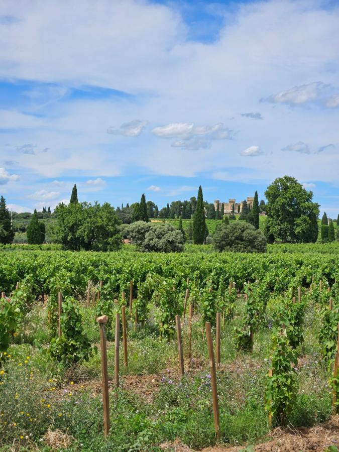 Le Willow Châteauneuf-du-Pape Exteriér fotografie